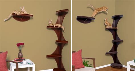 Modern Cat Tree Alternatives For Up-To-Date Pets