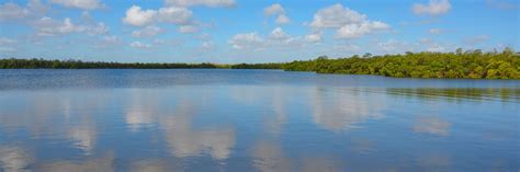 West Lake Park – Florida Hikes