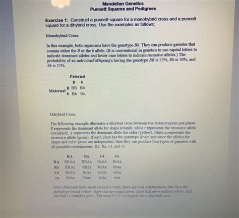 Solved Mendelian Genetics Punnett Squares and Pedigrees | Chegg.com