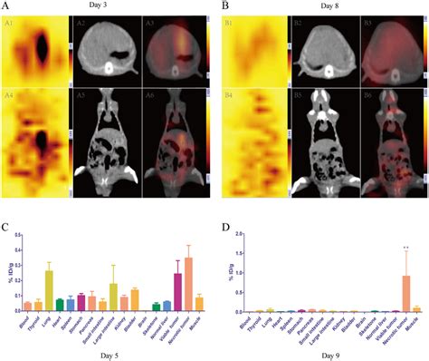 In Vivo Spect Ct A B And Post Mortem Counting C D For Rats