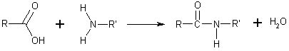 Dehydration synthesis reaction | Download Scientific Diagram