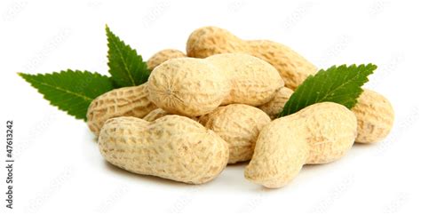 tasty peanuts with leaves, isolated on white Stock Photo | Adobe Stock