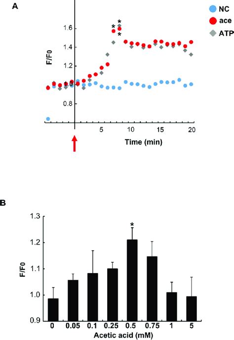 Effect Of Acetic Acid On Intracellular Calcium Influx A Acetic Acid Download Scientific