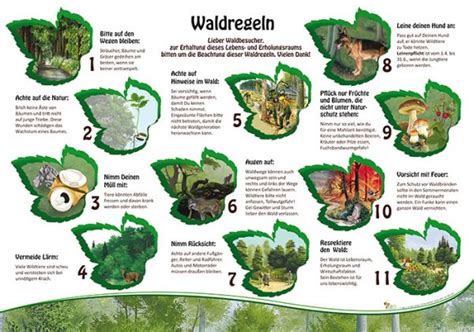 Waldregeln X X Cm Wald Lehrtafeln Natur Im Bild