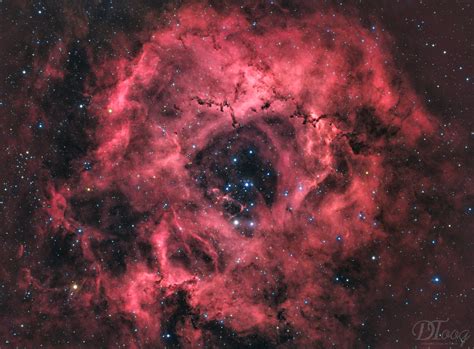 Blog Do Delberson Nebulosa Roseta NGC 2237