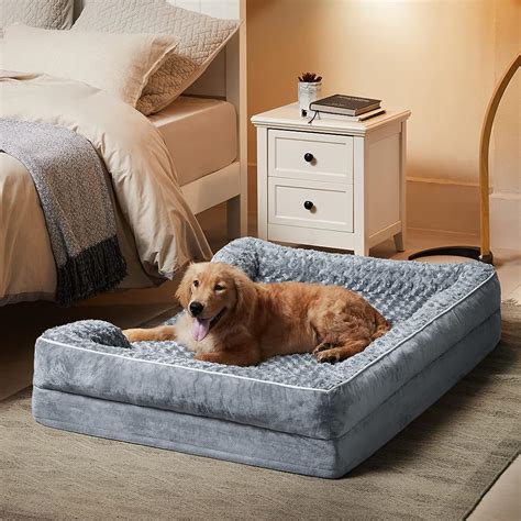 11 Best Dog Beds with Bolsters