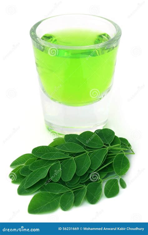 Moringa Leaves With Extract In A Glass Stock Image Image Of Mlonge Medicine 56231669