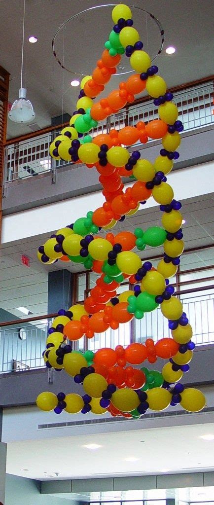 Balloon Sculpture Of Dna On A Much Smaller Scale Secondary