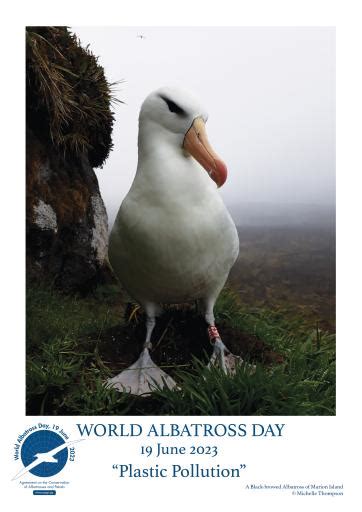 Agreement On The Conservation Of Albatrosses And Petrels World