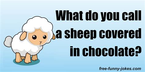 What Do You Call A Sheep Covered In Chocolate Joke