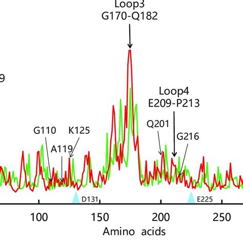 Molecular Dynamics Simulation And Root Mean Square Fluctuation Rmsf