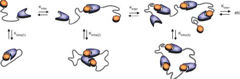 Schematic Representation Of The Ringchain Supramolecular Download