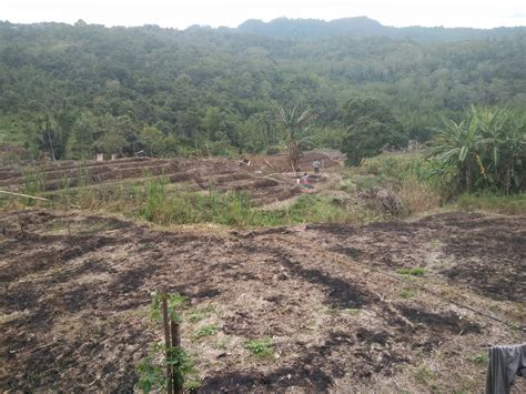 31 Heboh Gambar Pemandangan Bukit Bukau Guyonreceh