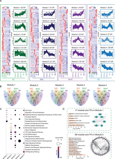 Differential Interaction Patterns Of Tf Families And Domains With Dna