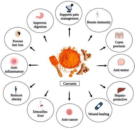 The curcumin's vital functions and biological activities. (A higher ...