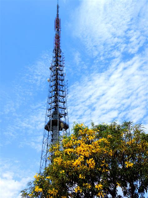 Top Torre De Tv De Bras Lia