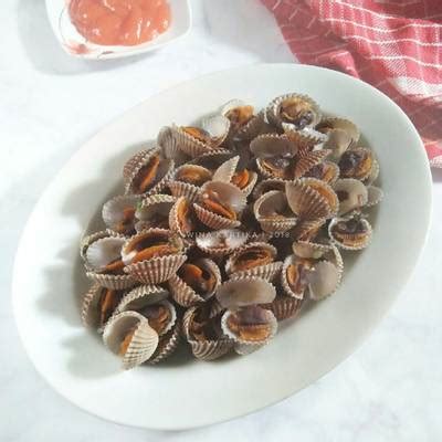 Resep Kerang Dara Rebus Oleh Wina Kartika Cookpad