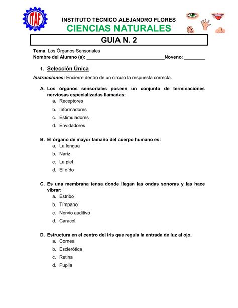 Guia N Noveno Grado Profe Sayda Pdf