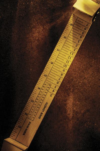 Foot measure Free Photo Download | FreeImages