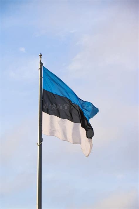 Flag Of Estonia Stock Image Image Of Eesti Tallinn 272357489