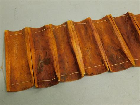 Bovine Chinese Sex Education Culture Screen