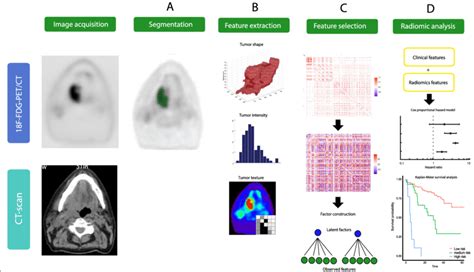 An Overview Of The Radiomics Workflow Including A Delineation B