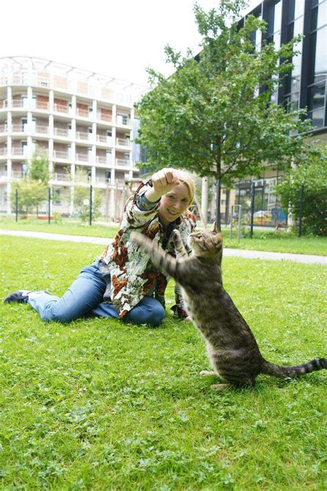 Katzenbesitzer Gesucht Im Garten Der Kleinen Zeitung Wem Geh Rt