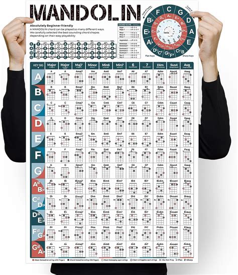 Amazon Mandolin Chord Chart Poster X Wall Chart For