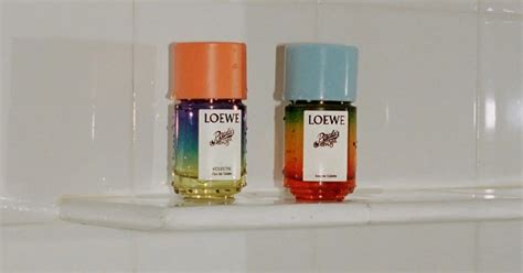 Loewe Paula S Ibiza Eclectic Perfume Munimoro Gob Pe