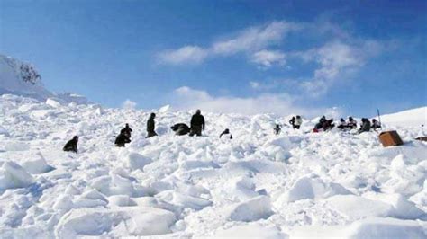 Siachen Miracle How A Soldier Survived Under 35 Feet Of Snow For 5