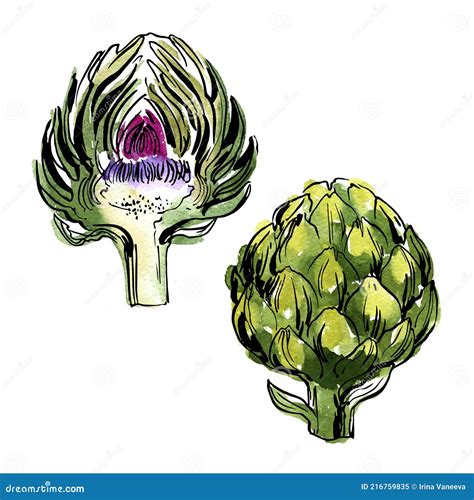 Artichoke Sketch Seamless Pattern Hand Drawn Artichokes Isolated On White Background Black