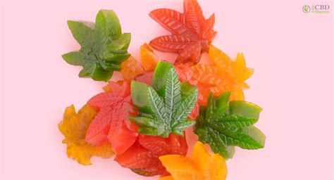 How To Make Weed Gummies? The ULTIMATE Guide To Making Weed Gummies!