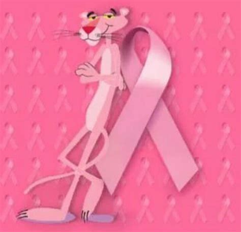 104 Best Images About The Pink Panther On Pinterest