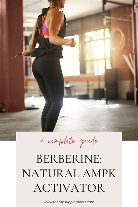 Berberine As A Natural AMPK Metabolic Activator Ampk Activator Top