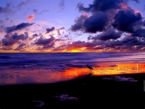 Beach Sunrise Art Wallpapers - 4k, HD Beach Sunrise Art Backgrounds on ...