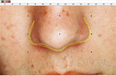 Belajar Matematika Cara Membuat Vector Hidung Mulut Tutorial