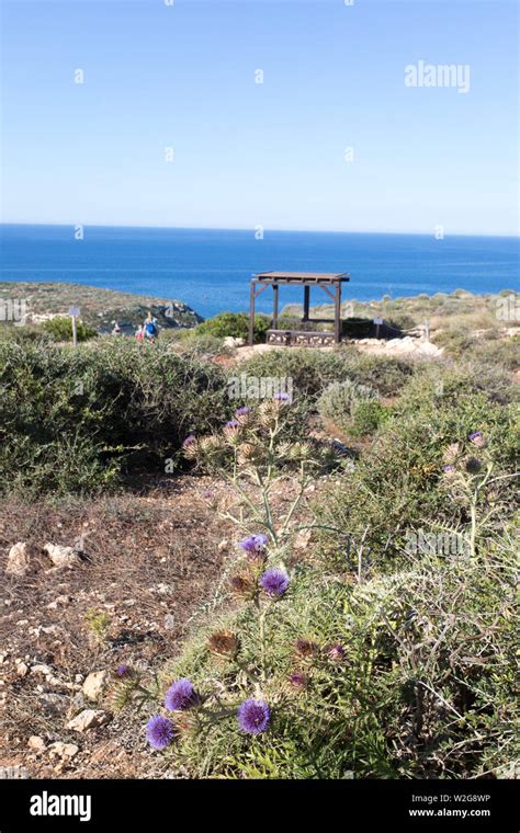 Isola Di Lampedusa Sicilia Spiaggia Del Coniglio E Isola Dei Conigli