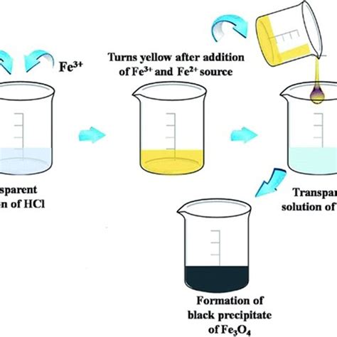 Schematic of synthesis of Fe3O4 magnetic nanoparticles using ...