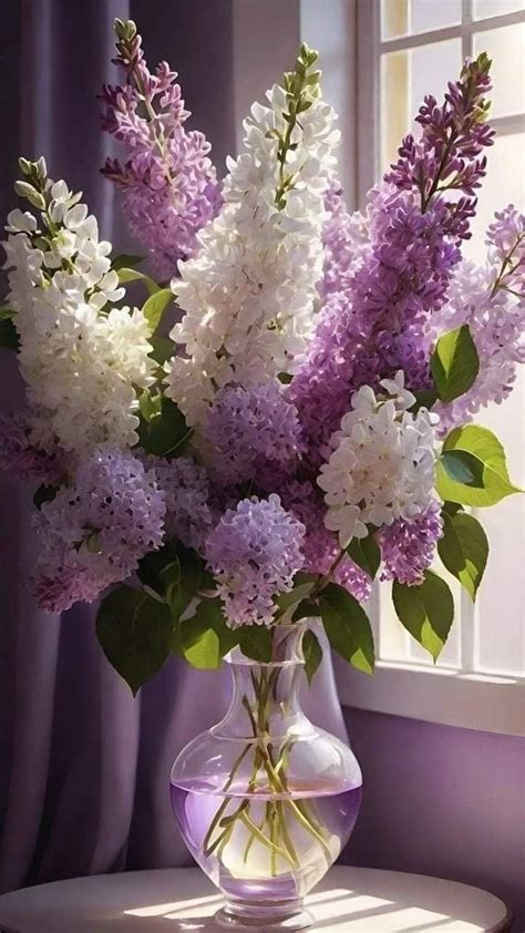 Pin By Dhafer Shamsuldeen On Flowers In Amazing Flowers Lilac