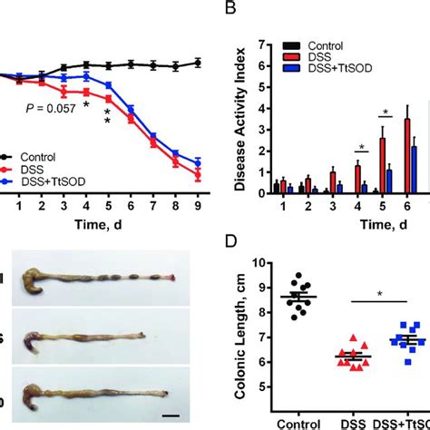 Body Weight Disease Activity Index And Colon Length In Dss Treated