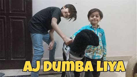 Aj Baba Dumba La Kar Aya Brother Vlog Youtube