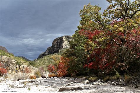 Fall Colors In McKittrick Canyon - Guadalupe Mtn's Natl Park 11-4-2017.