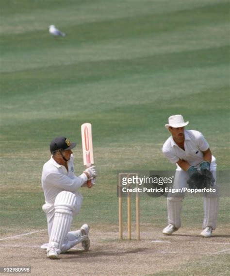 161 Cricketer Geoff Marsh Stock Photos, High-Res Pictures, and Images ...