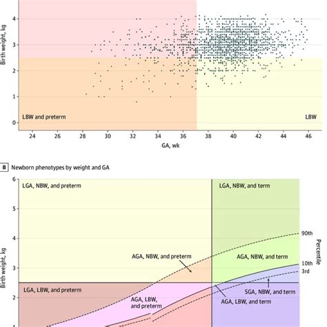 Birth Weight By Gestational Age GA And Newborn Phenotypes By Weight