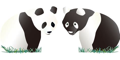 Más De 100 Imágenes Gratis De Pandas Animados Y Panda Pixabay