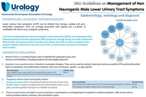 Eau Guidelines On The Management Of Non Neurogenic Male Luts Uroweb