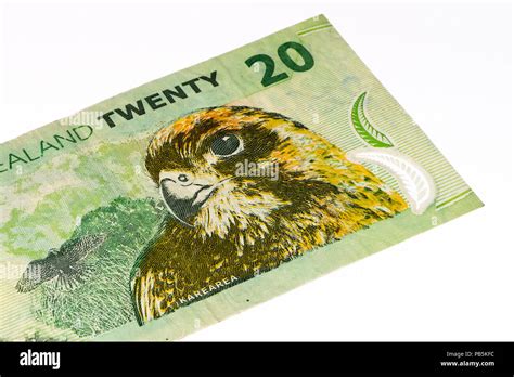 20 New Zealand Dollar Bank Note New Zealender Dollar Is The National