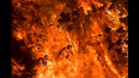 The summer Australia burned, 2019-2020: A bushfire photojournalism ...