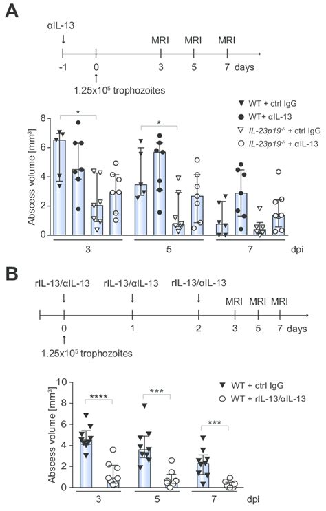 Immuno Depletion And Reconstitution Of Il A Schematic Showing The