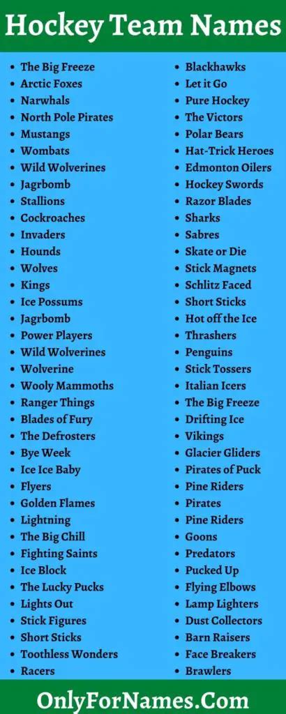 459+ Hockey Team Names [Good, Unique, Catchy, Cool & Best]